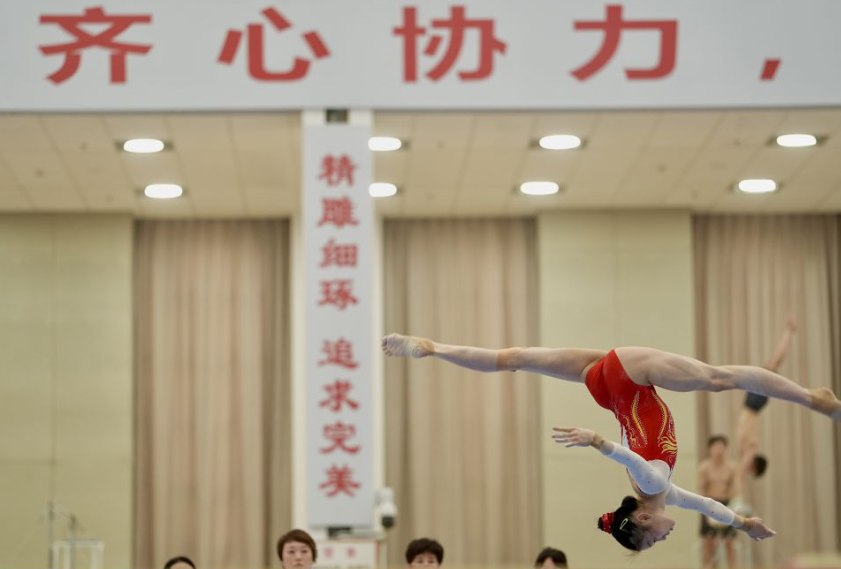 ob体育电竞团队管理与战术分析
